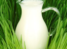 فواید شیر برای گیاهان